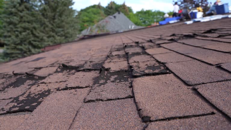 Best Roof Leak Repair  in Wolf Trap, VA