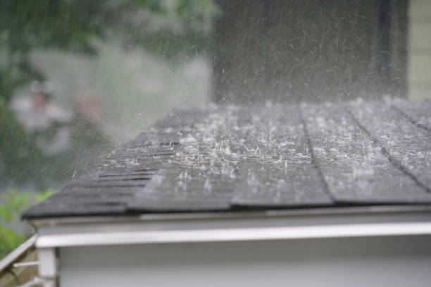 Best Sheet Metal Roofing  in Wolf Trap, VA